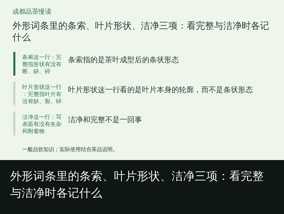外形词条里的条索、叶片形状、洁净三项：看完整与洁净时各记什么的知识要点示意图